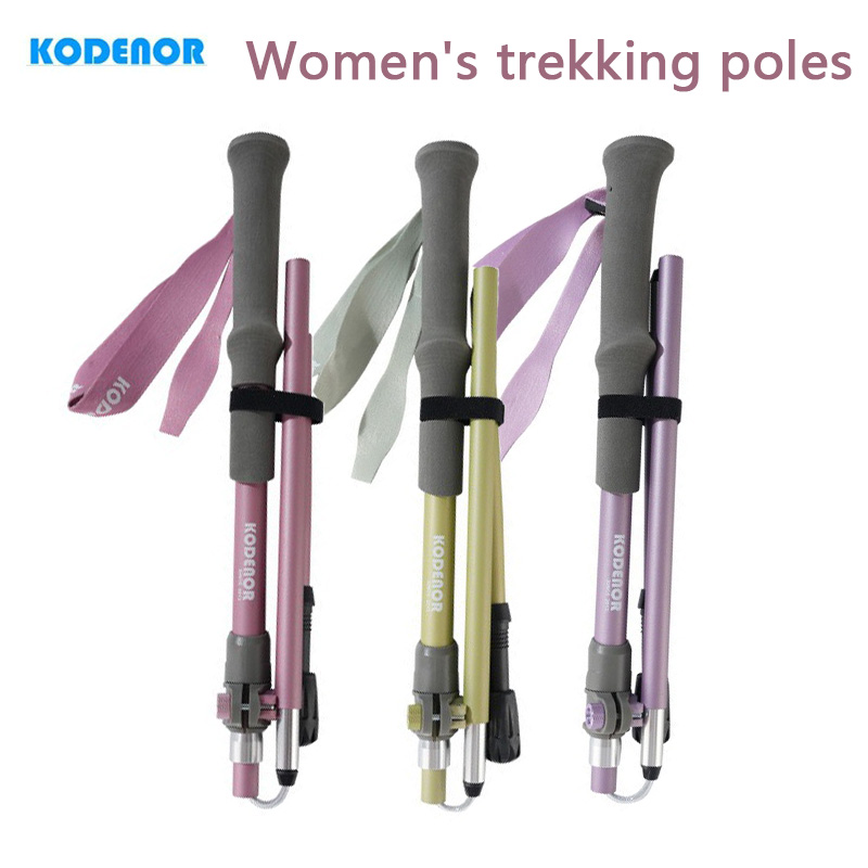 2 palos de trekking plegables  - Trekking Pole Carbon reseña y precio
