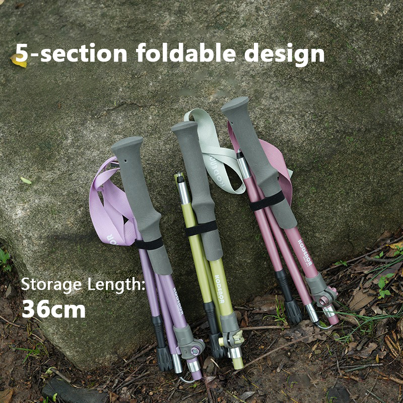 2 palos de trekking plegables  - Trekking Pole Carbon reseña y precio