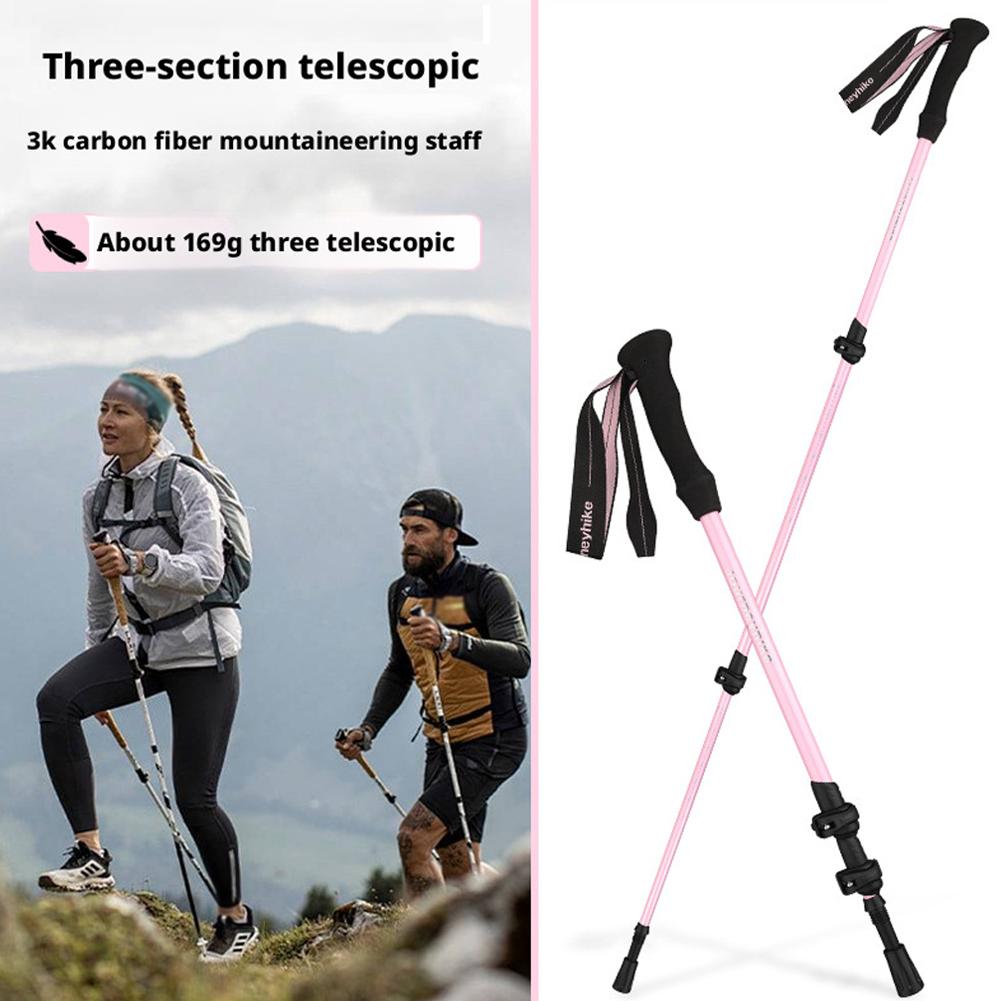 Bastones de Trekking plegables - Trekking Pole Carbon reseña y precio
