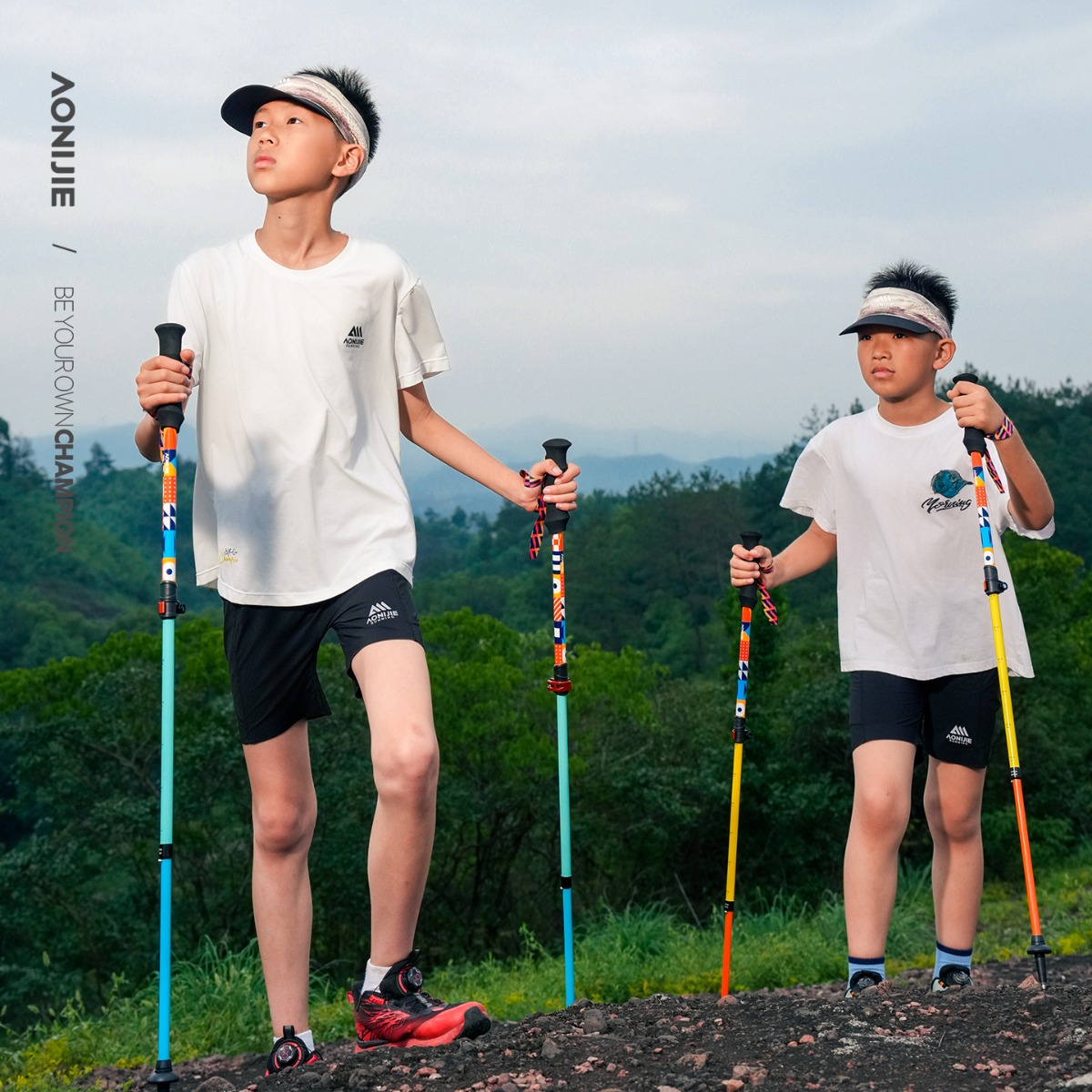 2PCS AONIJIE E4245 Bastones de - Trekking Pole Carbon reseña y precio