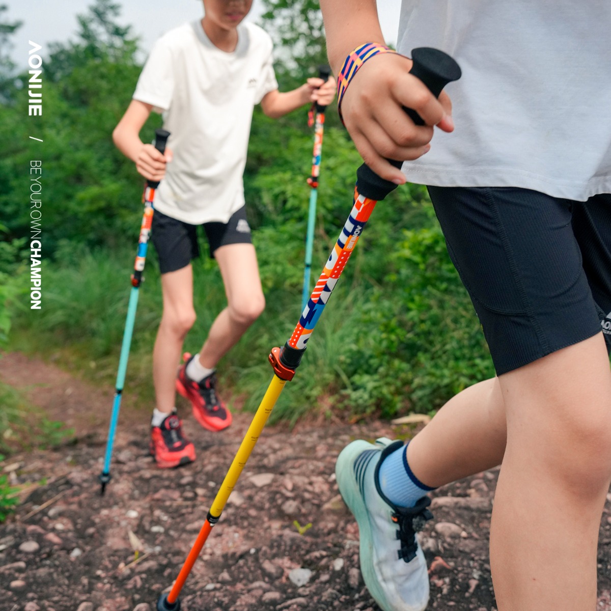 2PCS AONIJIE E4245 Bastones de - Trekking Pole Carbon reseña y precio